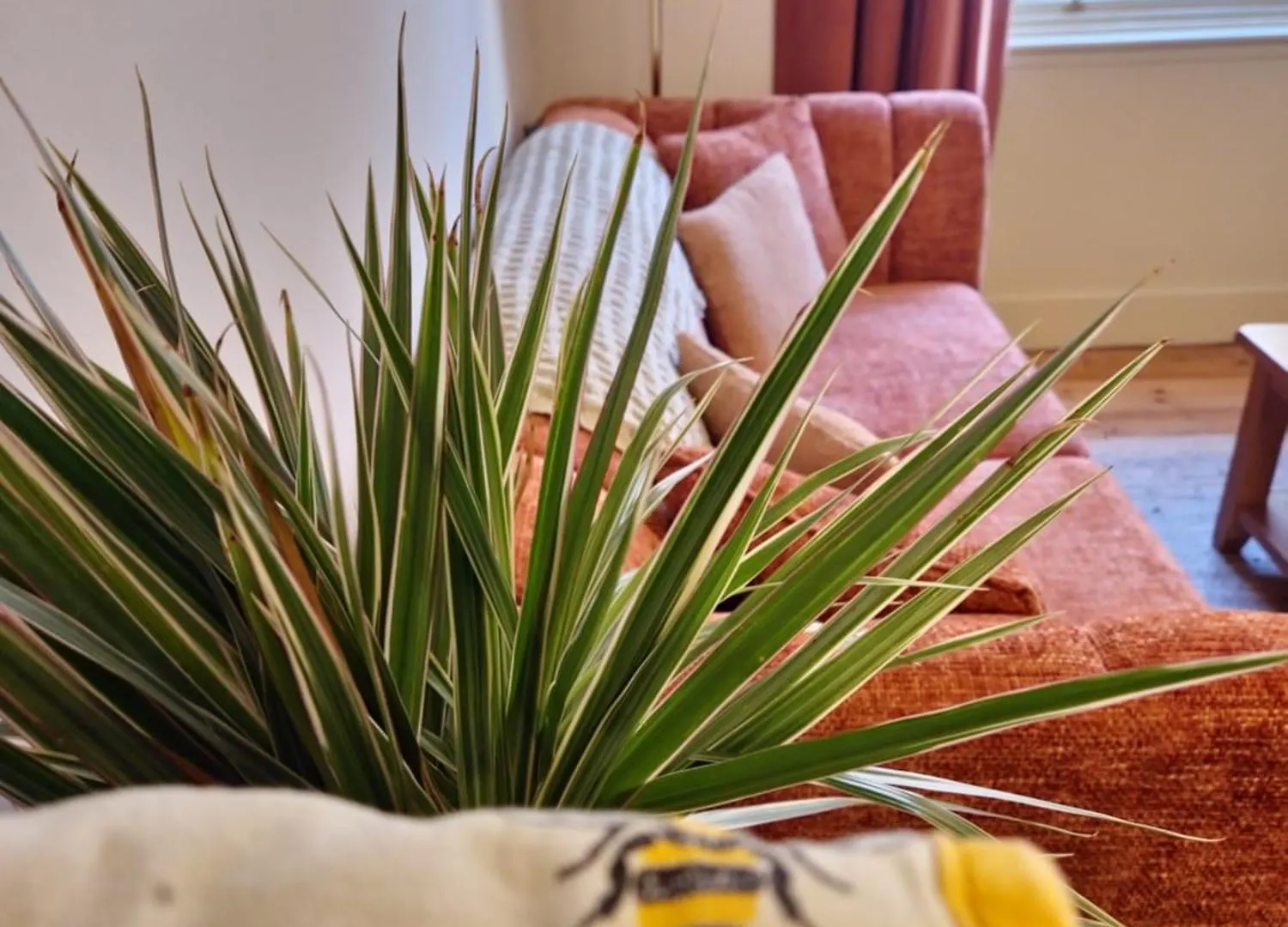 Central Gloucester Self-Catering Flat - A Hidden Gem United Kingdom